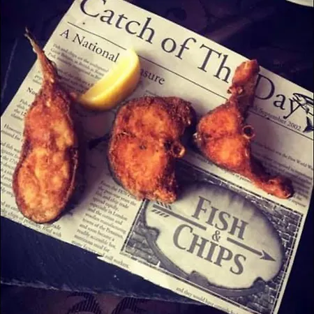 Мотел Zlatna Ribka